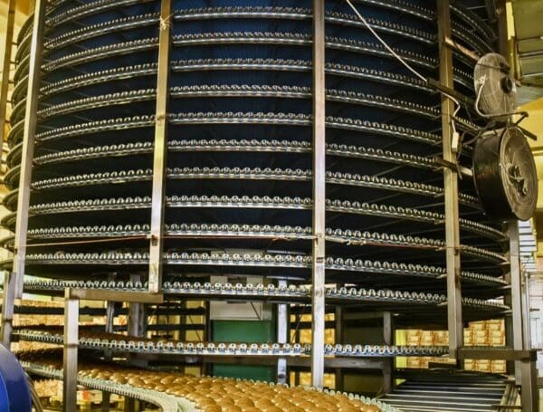 Skanowanie 3D mroźni spiralnej – w służbie świeżości